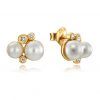 Pendientes plata Viceroy jewels 4084E100-66